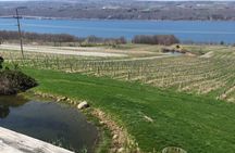 Seneca Lake South Wine Tastings Tour