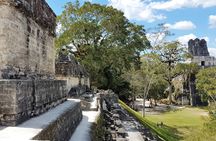 Tikal from Flores or Mundo Maya Airport with transportation, local guide and lunch