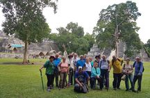 Tikal from Flores or Mundo Maya Airport with transportation, local guide and lunch