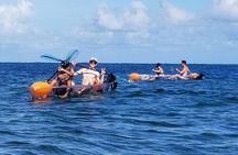 Clear Bottom Kayak - Guaranteed to see Turtles!