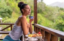 4-Hours Bike, Hike & Waterfall Tour in Blue Mountain with Lunch and Pick Up