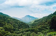 Blue Mountain Highlights 