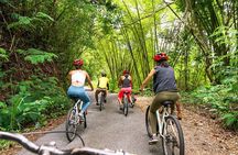 Blue Mountain Bicycle Tour