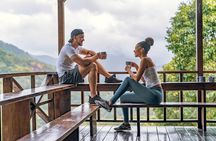 Blue Mountain Highlights 