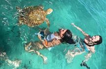 Snorkeling with Giant Turtles, The Red Church, Pamplemousses Garden & Port Louis