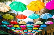 Full Day Tour: Snorkel with Giant Turtles & Explore the North