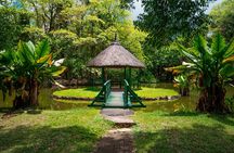 Snorkeling with Giant Turtles, The Red Church, Pamplemousses Garden & Port Louis