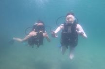 Panama City Scuba Diving Activity for Beginners