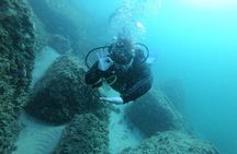 Panama City Scuba Diving Activity for Beginners