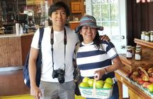 Niagara Falls Day Tour From Toronto with Fast track Niagara Cruise