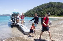 3 Hours // Hole in the Rock Cruise & Bay of Islands Tour