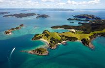 3 Hours // Hole in the Rock Cruise & Bay of Islands Tour