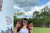 Day Trip Meet Howler Monkeys at Churute & Make Organic Chocolate