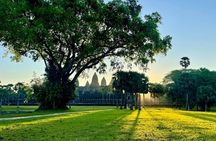 Full Day Angkor Complex by Tuk Tuk - (Optional Sunrise)