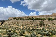 Morning Private Tour to Discover Jerusalem