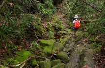 Khao Sok Rainforest | Hiking & Bamboo Rafting