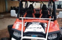  Buggy safari in sharm El sheikh ( sunrise or sunset) 