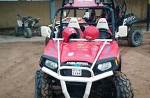  Buggy safari in sharm El sheikh ( sunrise or sunset) 