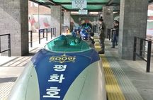 Private DMZ Peace Tour: 3rd Invasion Tunnel and Suspension Bridge