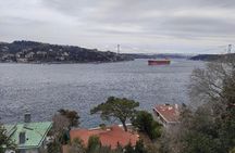 Full Day Istanbul Bosphorus Cruise and Dolmabahce Palace Tour with Private Guide