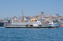 Full Day Istanbul Bosphorus Cruise and Dolmabahce Palace Tour with Private Guide