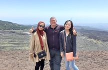 Mount Etna nature and flavors half day Tour from Taormina
