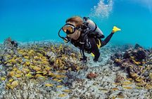  Scuba Diving Adventure in Dubai 