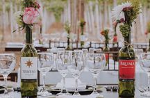 3-Hour Vineyard Wine Tour with Tasting