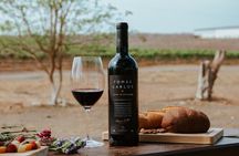 3-Hour Vineyard Wine Tour with Tasting