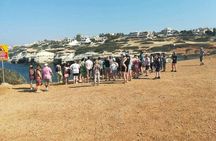 Full-Day Surf and Turf Safari Tour in Paphos