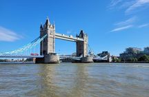Half-Day Private Van Tour in London 4-Hours