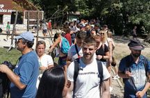 Plitvice Lakes Day Tour with Panoramic Boat Ride Ticket Reserved