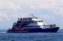 Only Wildlife and Whale Watching Tour Leaving from Seattle