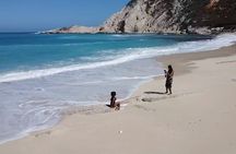 Full-Day Private Tour in Kefalonia