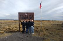 FULL DAY KING PENGUIN COLONY (private tours)