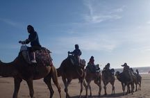 Essaouira: 2H camel/pick up and drop off including 