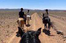Royal Private Tour of Ksar Ait Ben Haddou