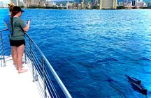 Luxury Catamaran Cruise from Oahu