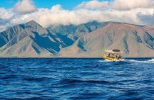 Lanai Deluxe Dolphin Adventure & 3 Snorkel Sites