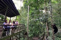Sepilok Orang Utan, Sun Bear & Sandakan Nature City Tour + Lunch
