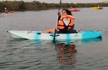 Private Kayak Adventure in Abu Dhabi