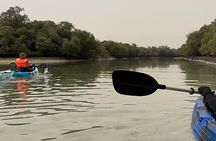 Private Kayak Adventure in Abu Dhabi