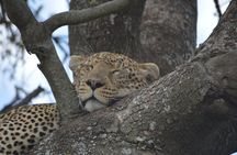 7-Day North Tanzania Classic Safari
