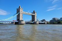 Full day London Private Van Tour 6-hours