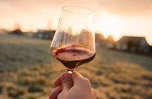 Castle & Wine Tasting - Private Day Trip from Zagreb
