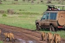 Tarangire National Park and Ngorongoro Crater 2-Day Private Tour