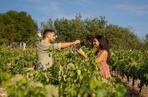 Nemea wine roads, The most famous wine tour in Greece