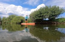 Teton River Paddleboard Adventure - 4.5 Miles