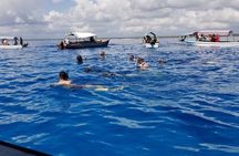 Full-Day Safari Blue Island Hopping -with lunch
