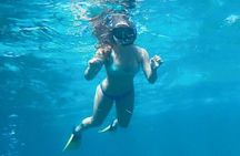 4 Hour Egmont Key Island Tour With Dolphins & Snorkeling Included